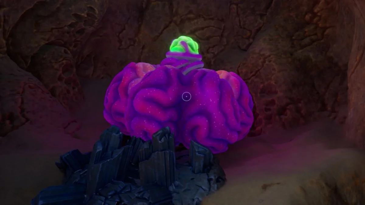 Estrategias efectivas para conseguir el Saco Ácido de Raion en Subnautica 2