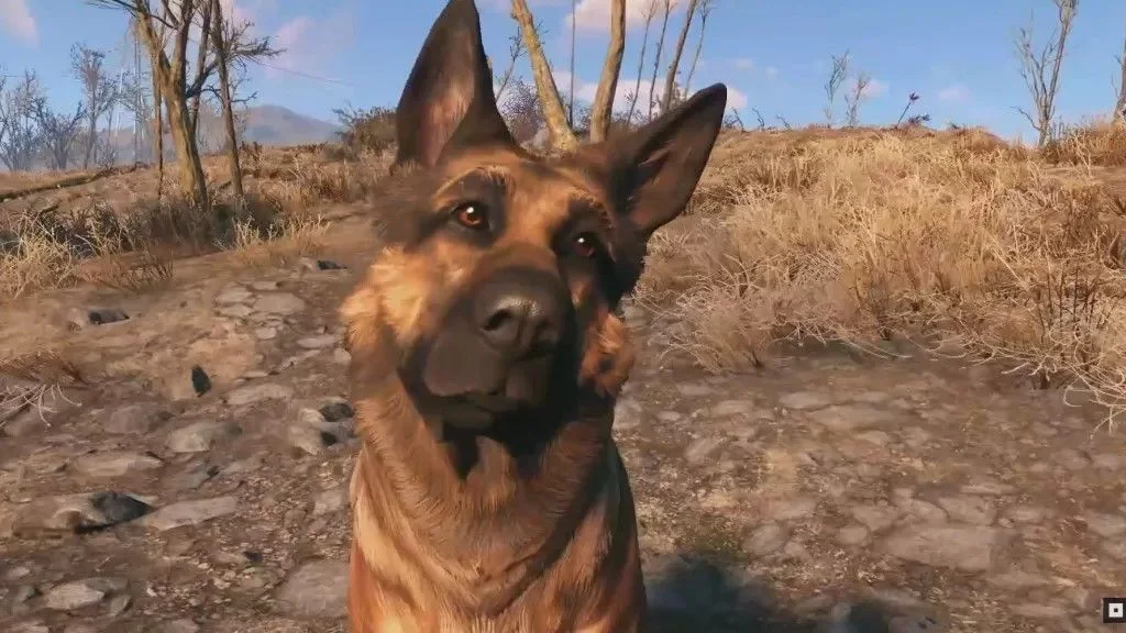 Fallout 4 se inspira en la belleza natural para crear un mundo envolvente y auténtico.