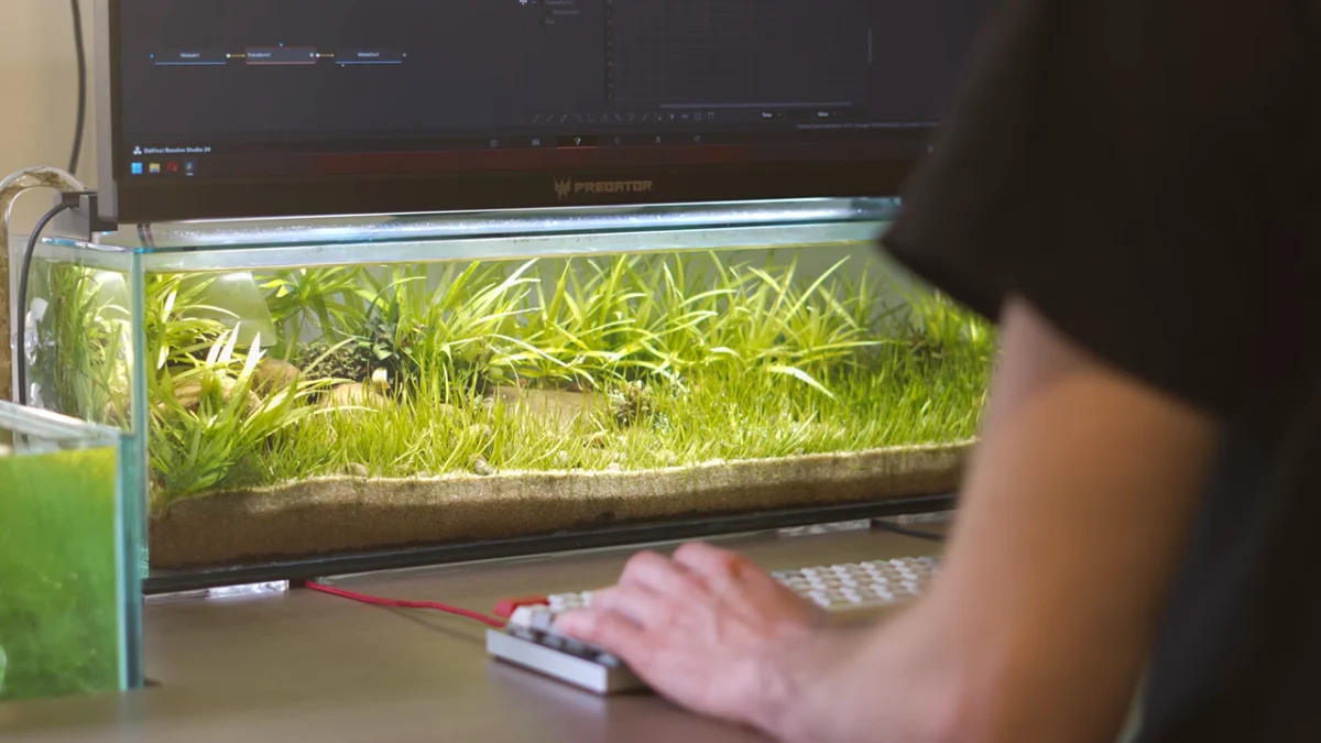 Un YouTuber transforma el espacio desperdiciado de su escritorio en un acuario vivo